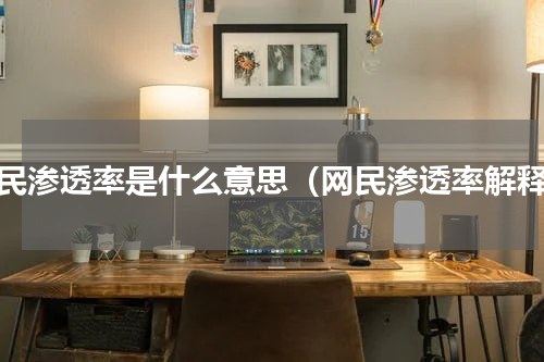 网民渗透率是什么意思（网民渗透率解释）