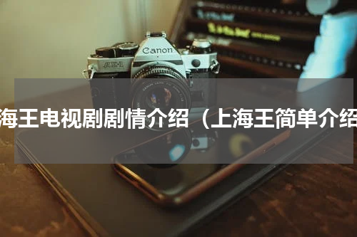 上海王电视剧剧情介绍（上海王简单介绍）
