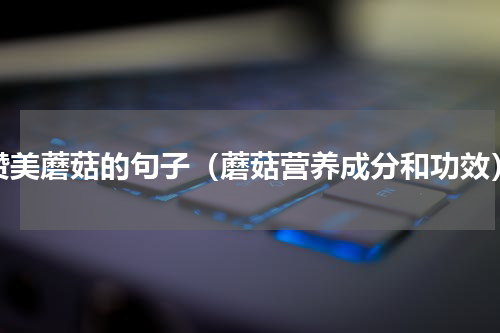 赞美蘑菇的句子（蘑菇营养成分和功效）