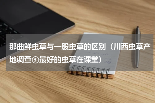 那曲鲜虫草与一般虫草的区别（川西虫草产地调查③最好的虫草在课堂）