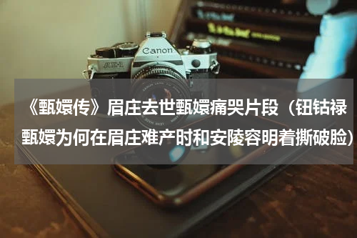 《甄嬛传》眉庄去世甄嬛痛哭片段（钮钴禄甄嬛为何在眉庄难产时和安陵容明着撕破脸）