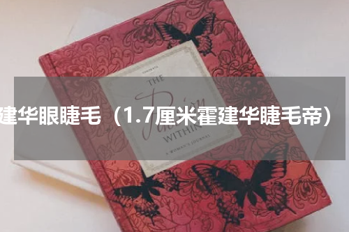 霍建华眼睫毛（1.7厘米霍建华睫毛帝）