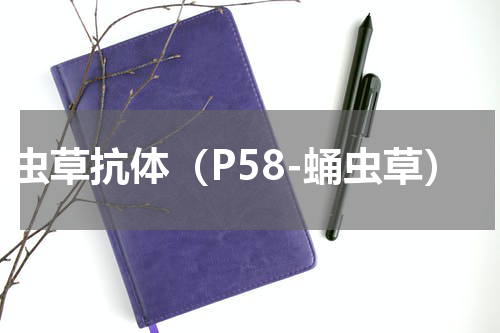 蛹虫草抗体（P58-蛹虫草）