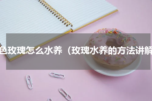 粉色玫瑰怎么水养（玫瑰水养的方法讲解）