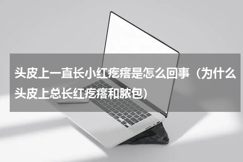 头皮上一直长小红疙瘩是怎么回事（为什么头皮上总长红疙瘩和脓包）