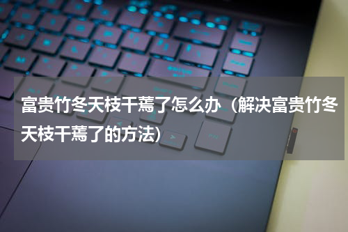 富贵竹冬天枝干蔫了怎么办（解决富贵竹冬天枝干蔫了的方法）