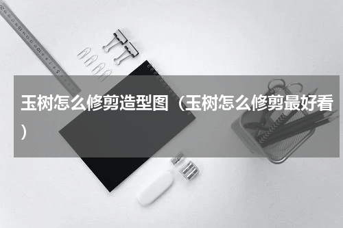 玉树怎么修剪造型图（玉树怎么修剪最好看）