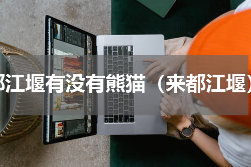 都江堰有没有熊猫（来都江堰）