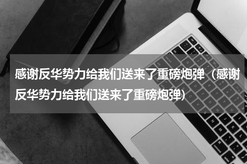 感谢反华势力给我们送来了重磅炮弹（感谢反华势力给我们送来了重磅炮弹）