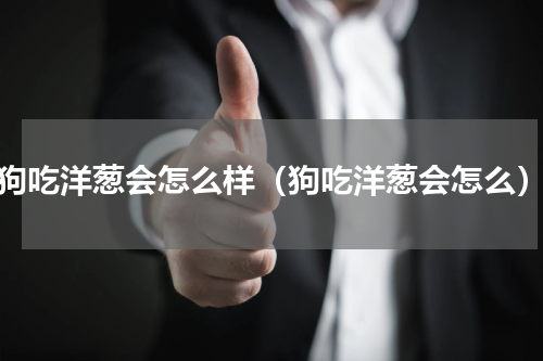狗吃洋葱会怎么样（狗吃洋葱会怎么）