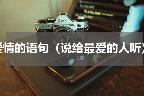 爱情的语句（说给最爱的人听）