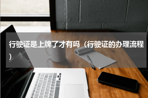 行驶证是上牌了才有吗（行驶证的办理流程）