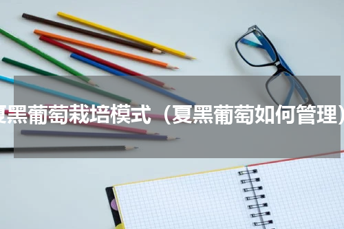 夏黑葡萄栽培模式（夏黑葡萄如何管理）
