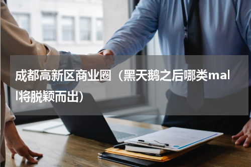 成都高新区商业圈（黑天鹅之后哪类mall将脱颖而出）