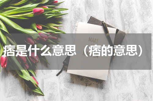 痞是什么意思（痞的意思）