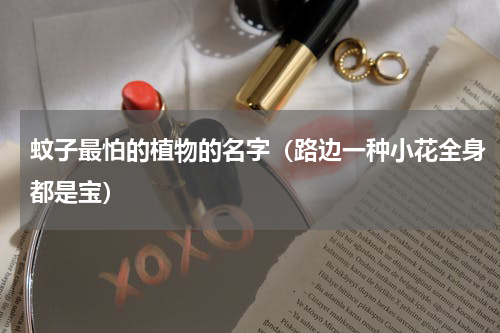 蚊子最怕的植物的名字（路边一种小花全身都是宝）