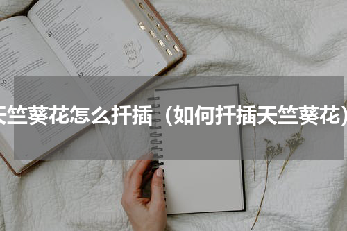 天竺葵花怎么扦插（如何扦插天竺葵花）