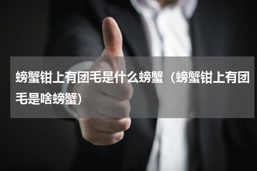 螃蟹钳上有团毛是什么螃蟹（螃蟹钳上有团毛是啥螃蟹）