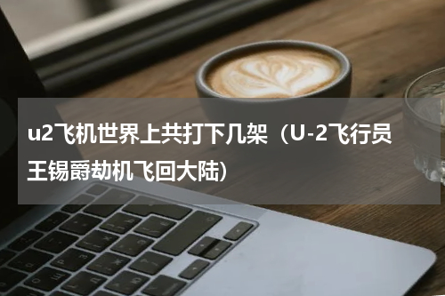 u2飞机世界上共打下几架（U-2飞行员王锡爵劫机飞回大陆）