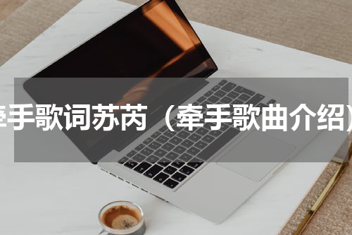 牵手歌词苏芮（牵手歌曲介绍）