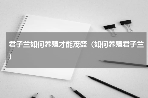 君子兰如何养殖才能茂盛（如何养殖君子兰）