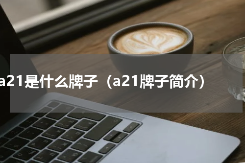 a21是什么牌子（a21牌子简介）