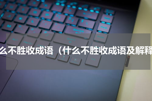什么不胜收成语（什么不胜收成语及解释）
