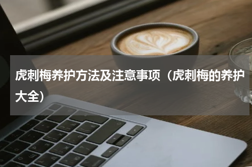 虎刺梅养护方法及注意事项（虎刺梅的养护大全）