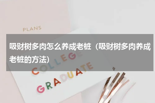 吸财树多肉怎么养成老桩（吸财树多肉养成老桩的方法）