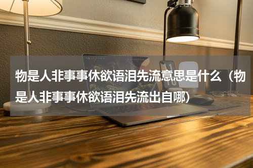 物是人非事事休欲语泪先流意思是什么（物是人非事事休欲语泪先流出自哪）