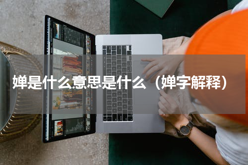 婵是什么意思是什么（婵字解释）