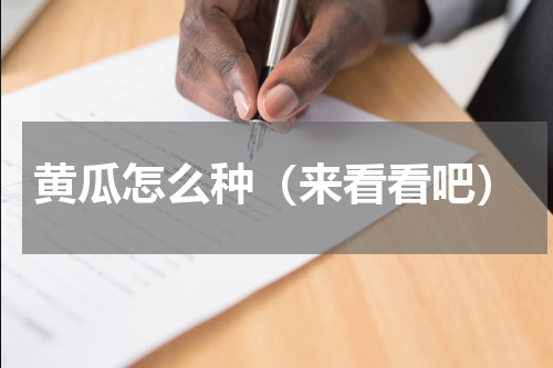 黄瓜怎么种（来看看吧）