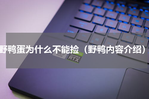 野鸭蛋为什么不能捡（野鸭内容介绍）