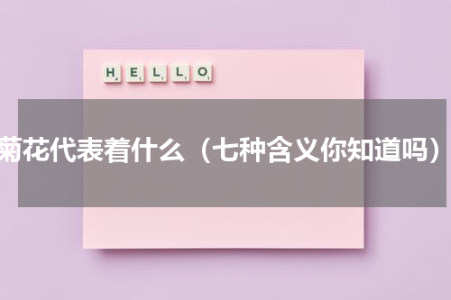 菊花代表着什么（七种含义你知道吗）