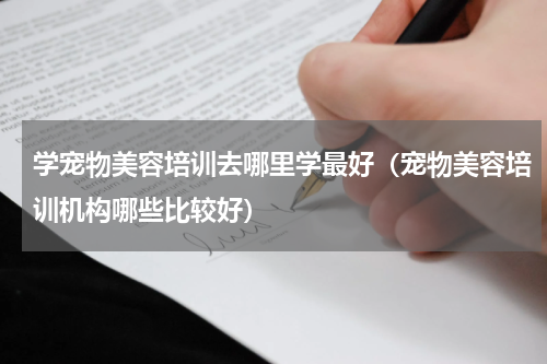 学宠物美容培训去哪里学最好（宠物美容培训机构哪些比较好）