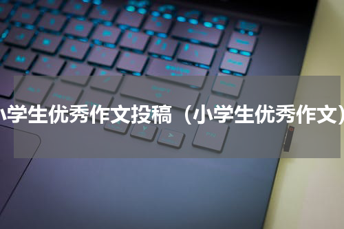 小学生优秀作文投稿（小学生优秀作文）