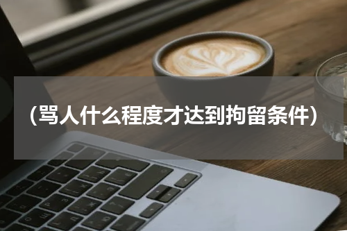 （骂人什么程度才达到拘留条件）