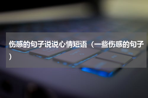 伤感的句子说说心情短语（一些伤感的句子）