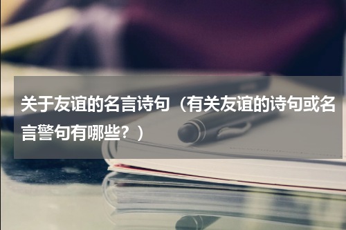 关于友谊的名言诗句（有关友谊的诗句或名言警句有哪些？）