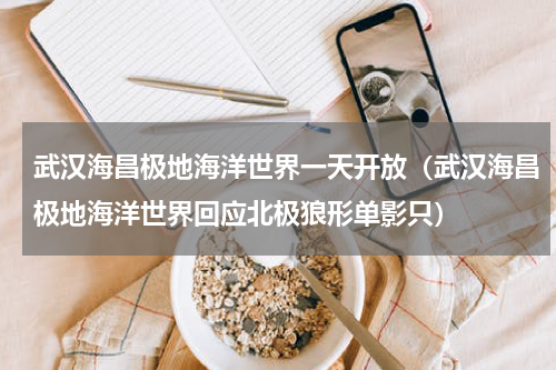 武汉海昌极地海洋世界一天开放（武汉海昌极地海洋世界回应北极狼形单影只）