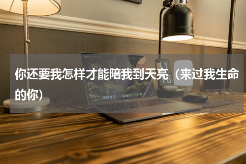 你还要我怎样才能陪我到天亮（来过我生命的你）