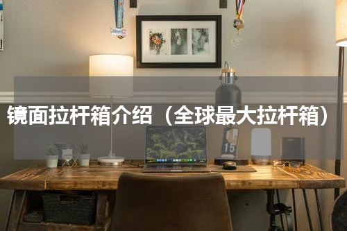 镜面拉杆箱介绍（全球最大拉杆箱）
