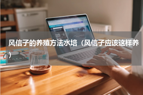风信子的养殖方法水培（风信子应该这样养）