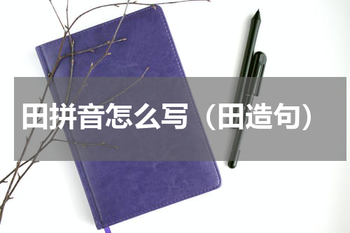 田拼音怎么写（田造句）