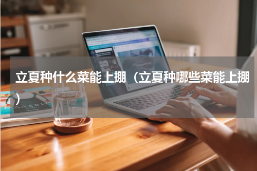 立夏种什么菜能上掤（立夏种哪些菜能上掤）