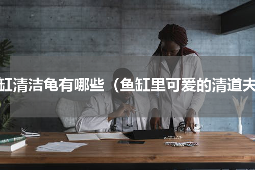 鱼缸清洁龟有哪些（鱼缸里可爱的清道夫）