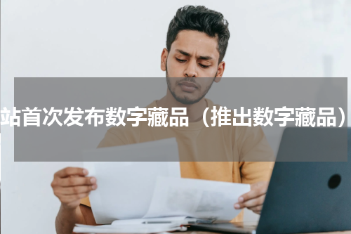 b站首次发布数字藏品（推出数字藏品）