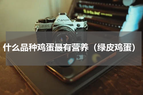 什么品种鸡蛋最有营养（绿皮鸡蛋）