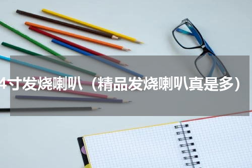 4寸发烧喇叭（精品发烧喇叭真是多）