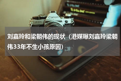 刘嘉玲和梁朝伟的现状（港媒曝刘嘉玲梁朝伟33年不生小孩原因）